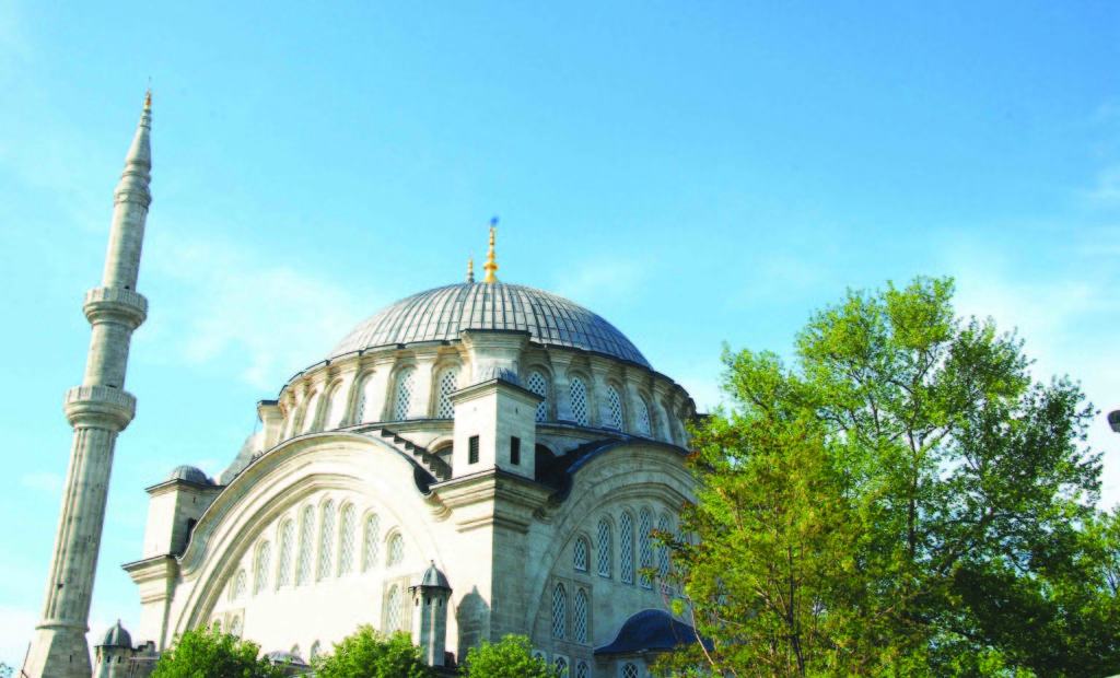 Oku, Öğren, Anlat…