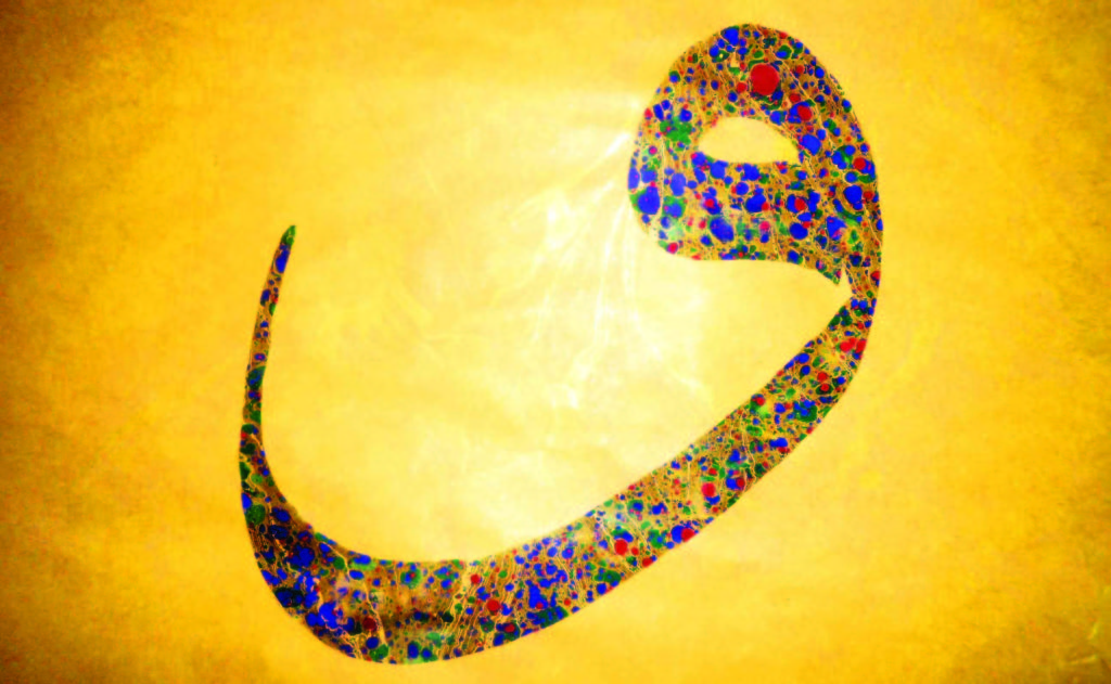 Yakub-i Çerhî -kuddise sirruhu-