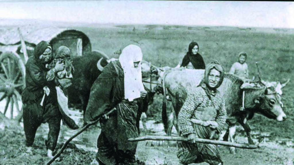 Medeniyetin Mihengi; Saliha Hanım