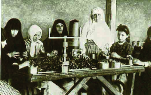 Müslüman Kadın Aktif Olmalı