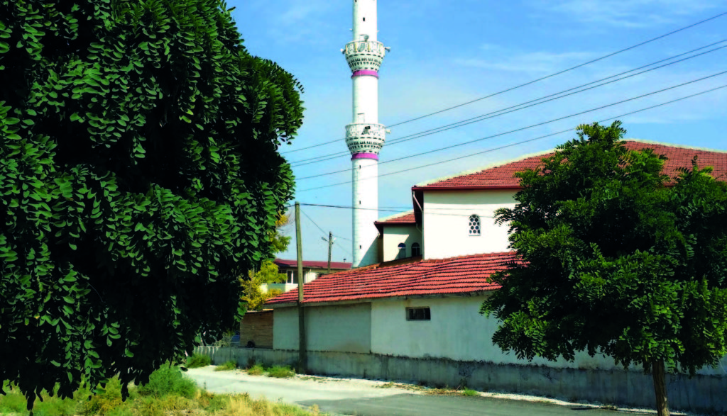 Bize ‘Deli’ Desinler