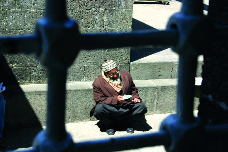 Nefisle Mücahede Çeşitleri